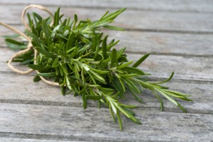 Rosemary sprig